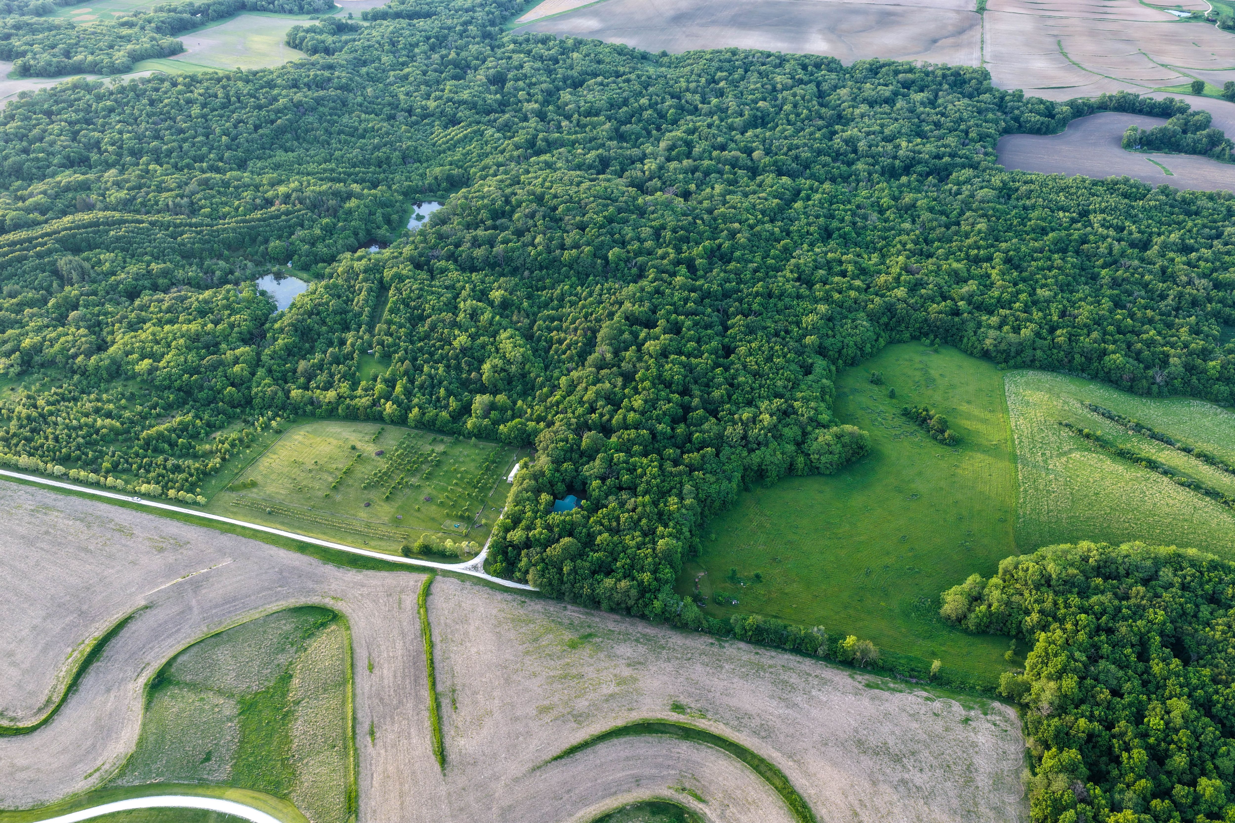 Listing Photo: Washington County Iowa Recreational Land For Sale-7